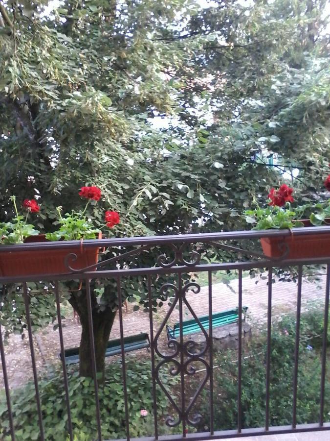 וירפזאר Apartments Olga מראה חיצוני תמונה